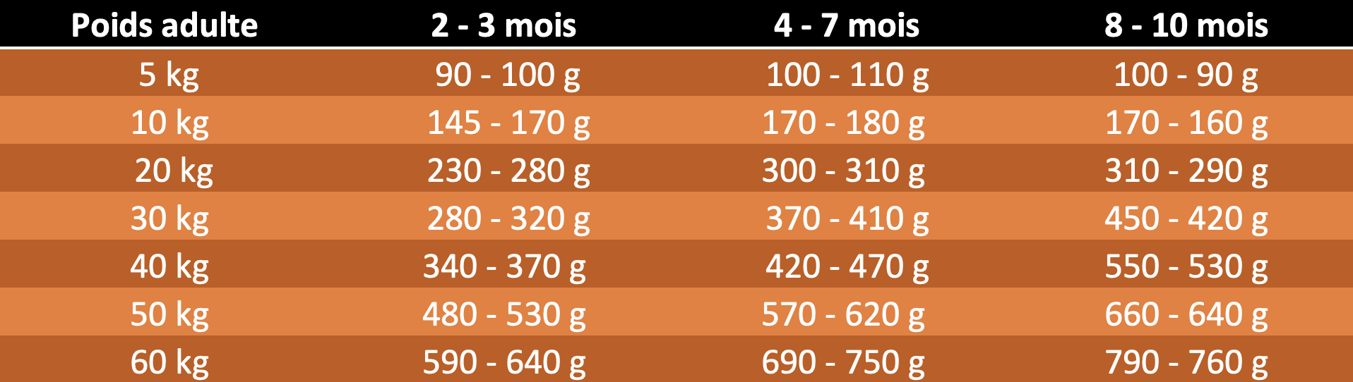 TABLE RATION QUOTIDIENNE BASIC JUNIOR