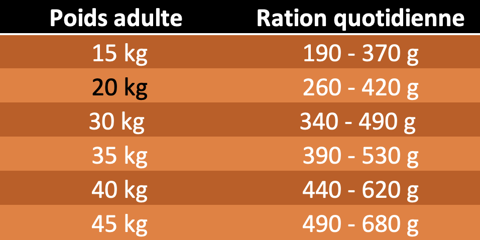 TABLE RATIONS QUOTIDIENNES SUPER PREMIUM ADULT LAMB AND RICE