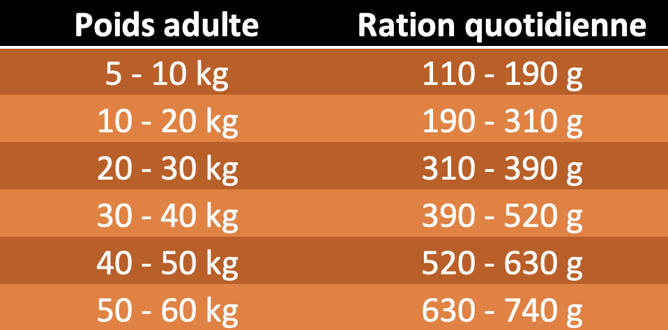 Tabla_ration_quotidienne_basic_maintenance