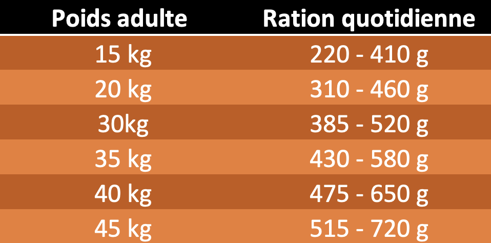 Table de ration quotidienne yesfood basic complet