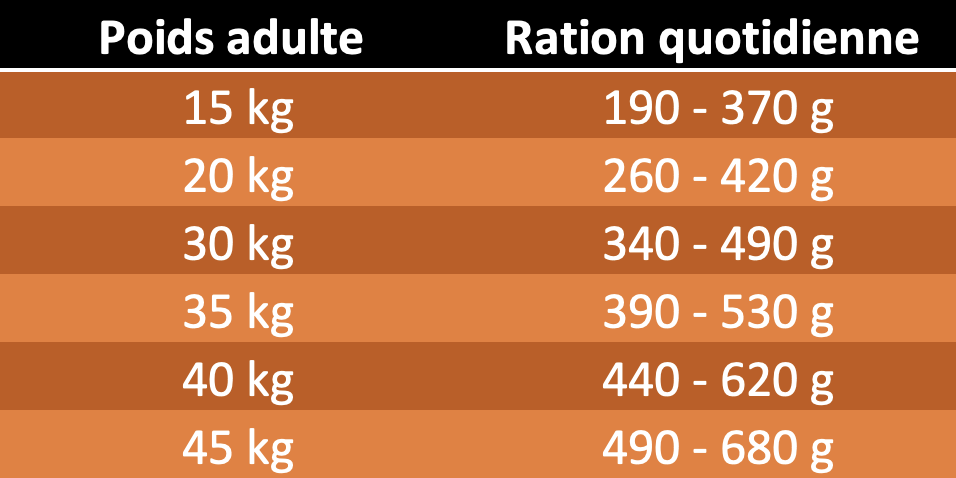 table rations journalières super premium chicken rice